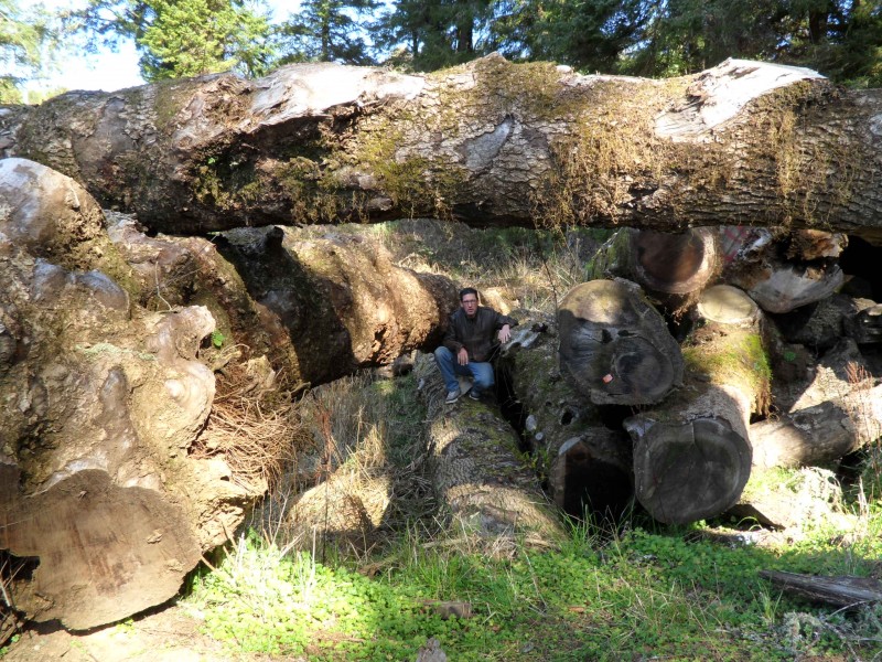 "High West" Myrtle Log Deck